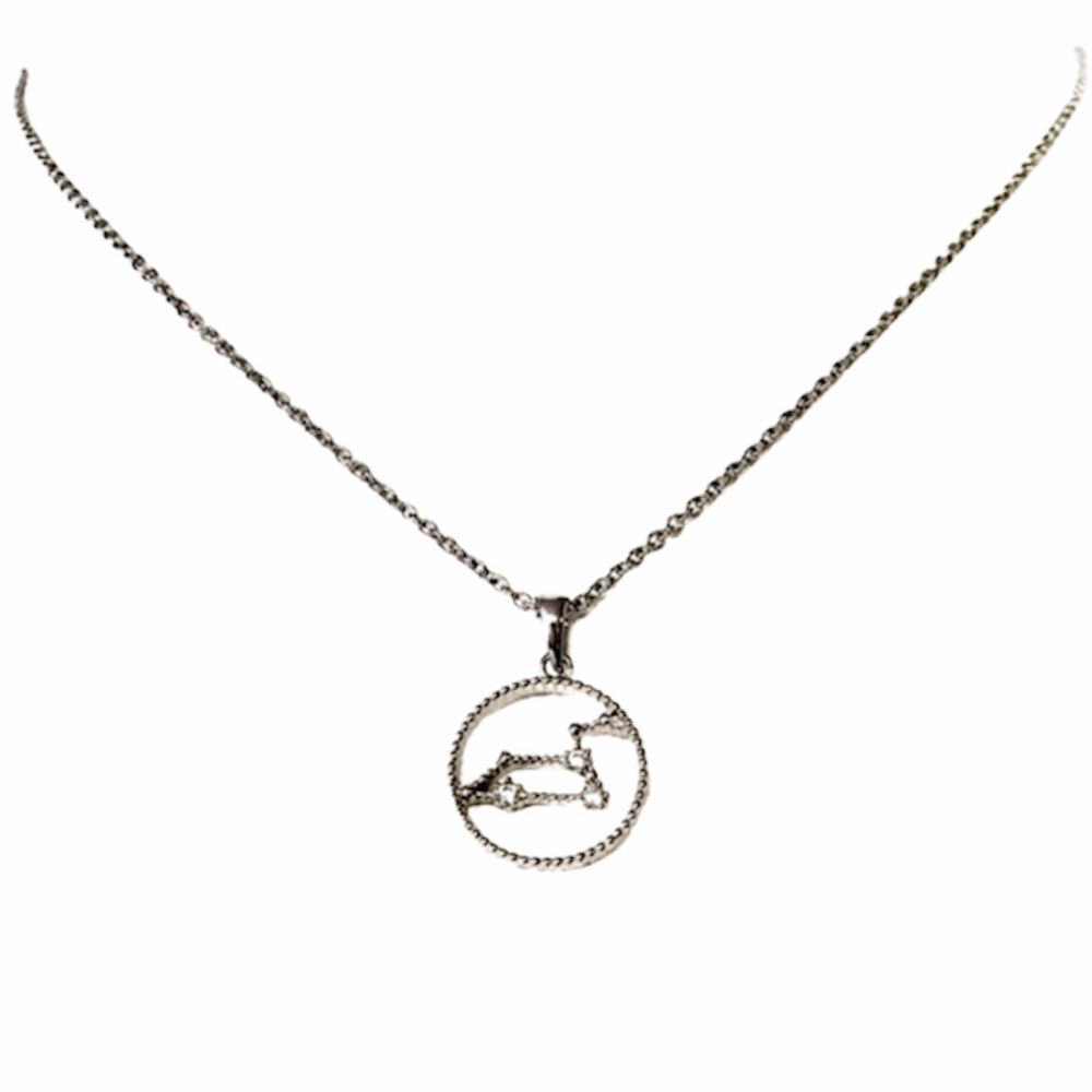 ⭐️ Zodiac LEO Horoscope Constellation Necklace